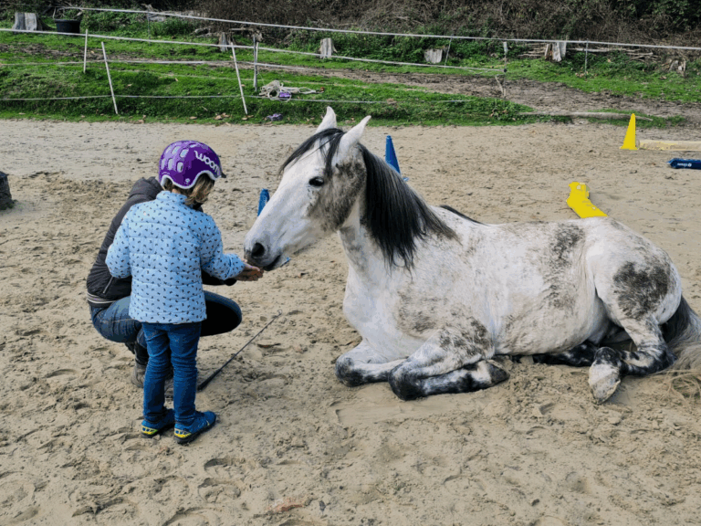 Bieten (4)
